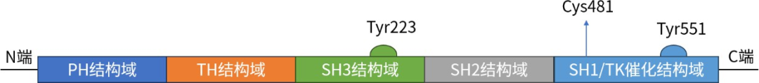 1703772103768490.png