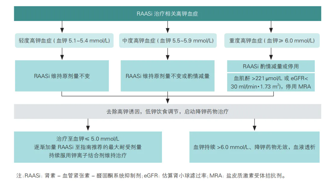 5.webp (1).png