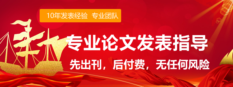 论文发表